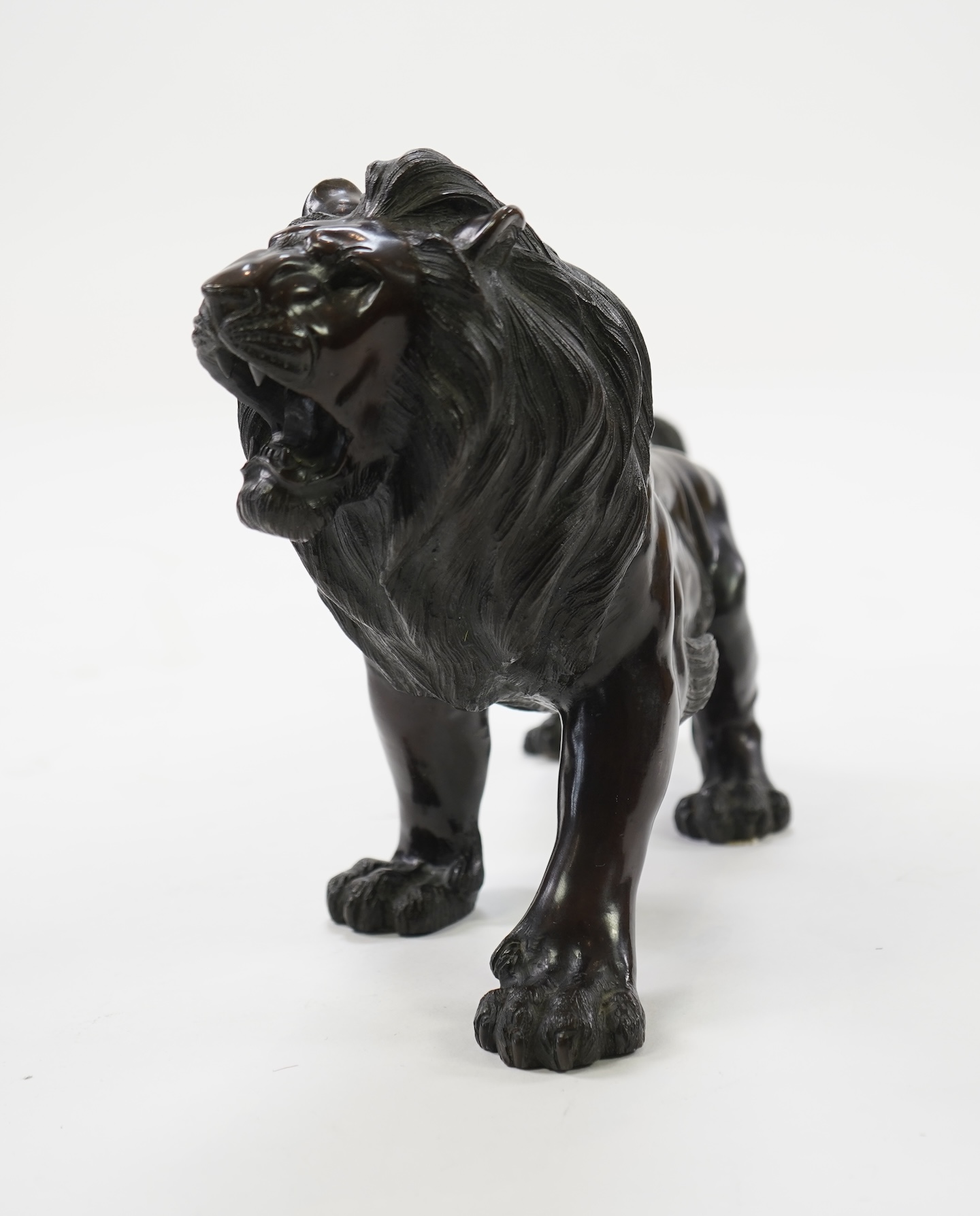 A Japanese patinated bronze okimono of a roaring lion, Meiji period